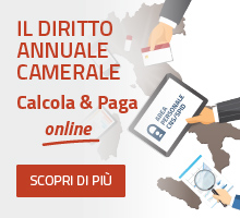 calcola il diritto annuale - vai al sito